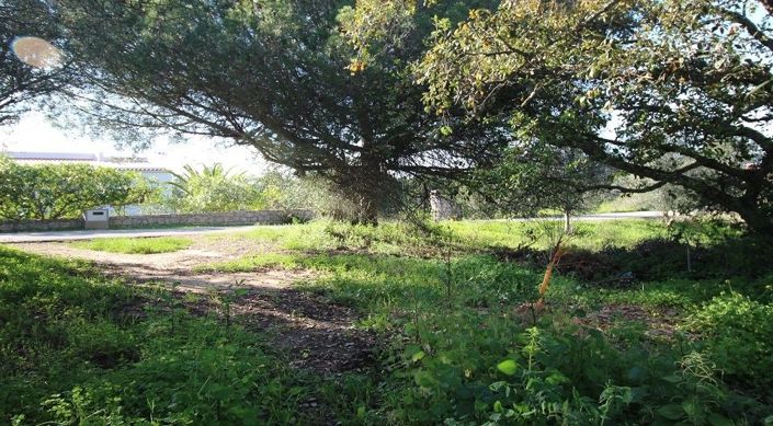 Image No.14-Plot for sale