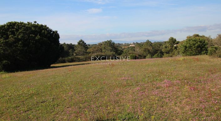 Image No.20-Plot for sale