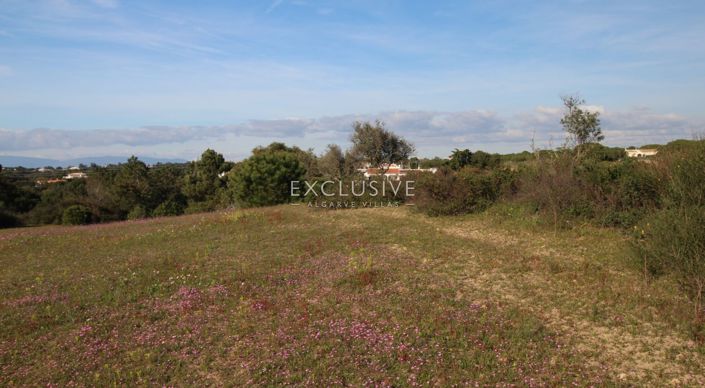 Image No.21-Plot for sale