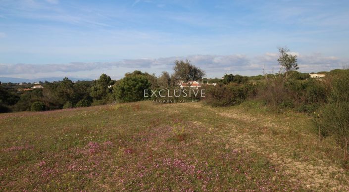 Image No.9-Plot for sale