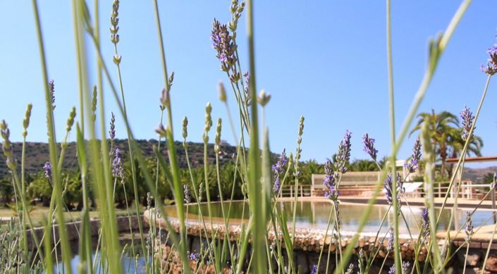 Image No.15-Villa de 3 chambres à vendre à Lagoa