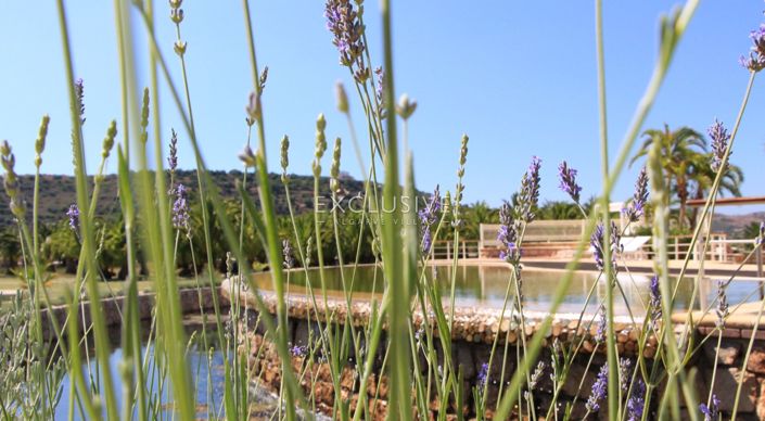 Image No.29-Villa de 3 chambres à vendre à Lagoa