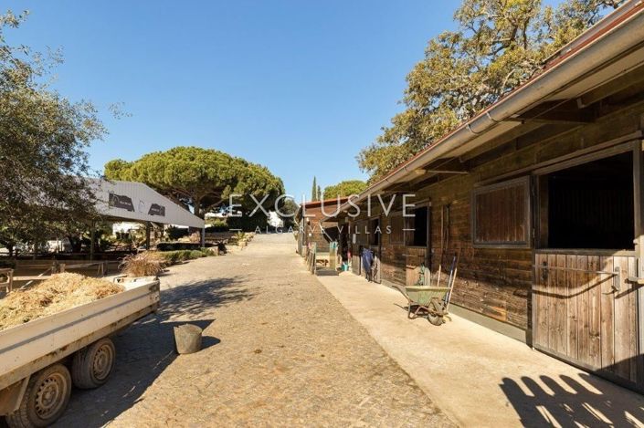 Image No.34-Villa de 3 chambres à vendre à Lagoa