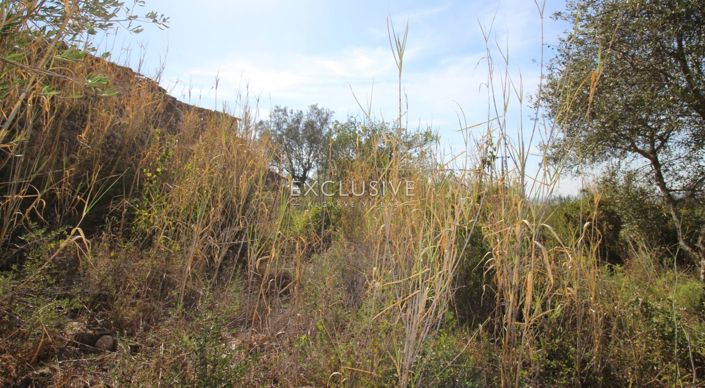 Image No.15-Plot for sale