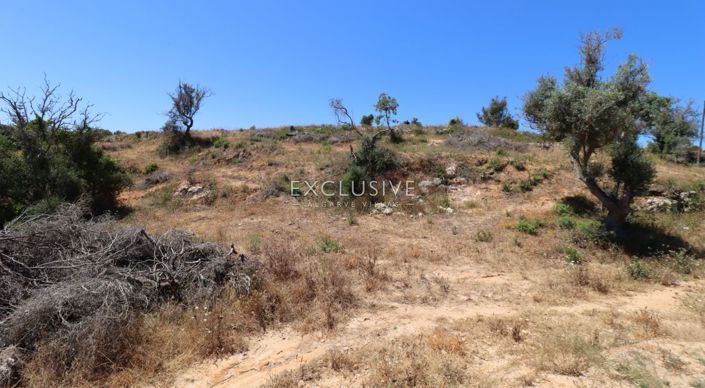 Image No.16-Plot for sale