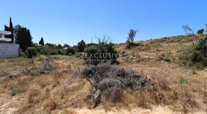 Image No.27-Plot for sale