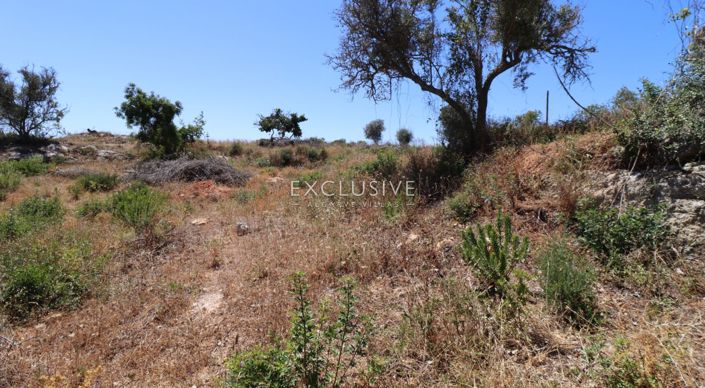 Image No.18-Plot for sale