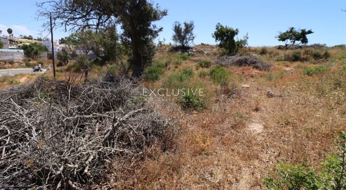 Image No.19-Plot for sale