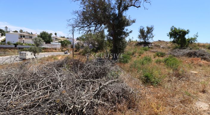 Image No.28-Plot for sale