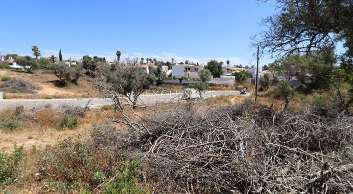 Image No.30-Plot for sale