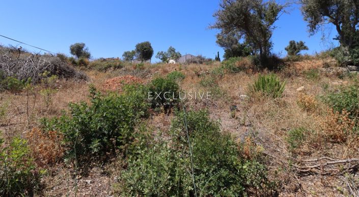 Image No.15-Plot for sale