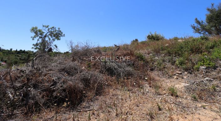 Image No.18-Plot for sale