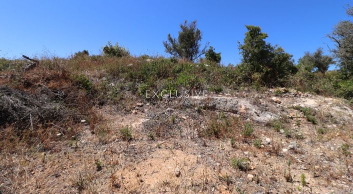 Image No.21-Plot for sale