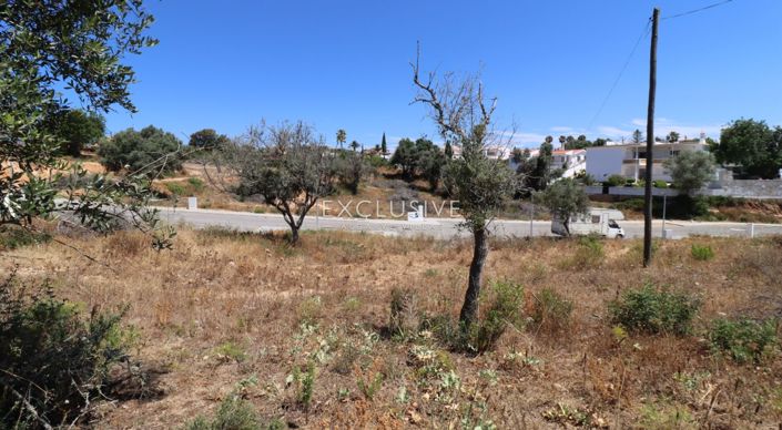 Image No.26-Plot for sale