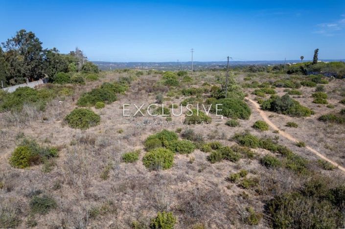 Image No.29-Terrain à vendre à Luz