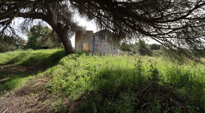 Image No.10-Plot for sale