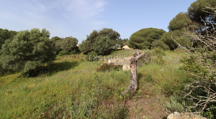 Image No.11-Plot for sale