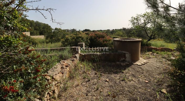 Image No.22-Plot for sale