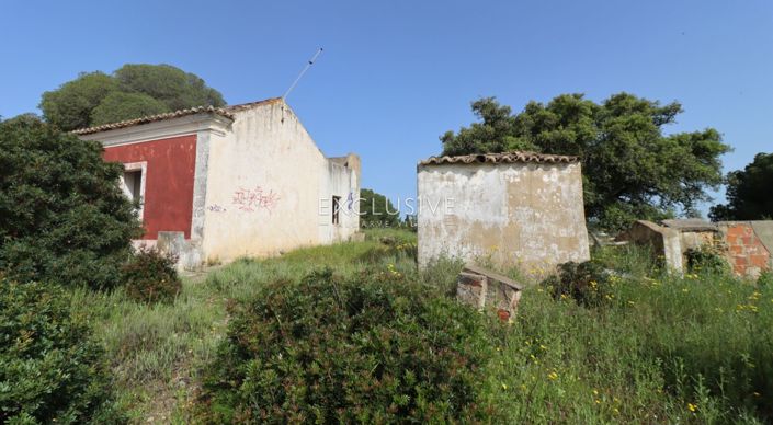 Image No.24-Plot for sale