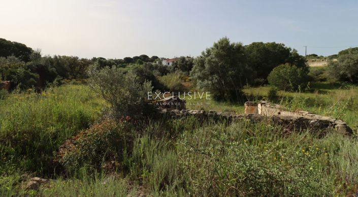 Image No.31-Plot for sale