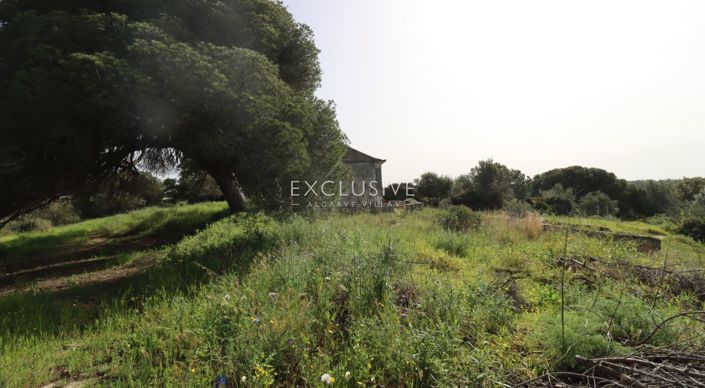 Image No.34-Plot for sale