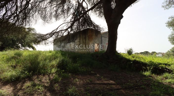 Image No.36-Plot for sale