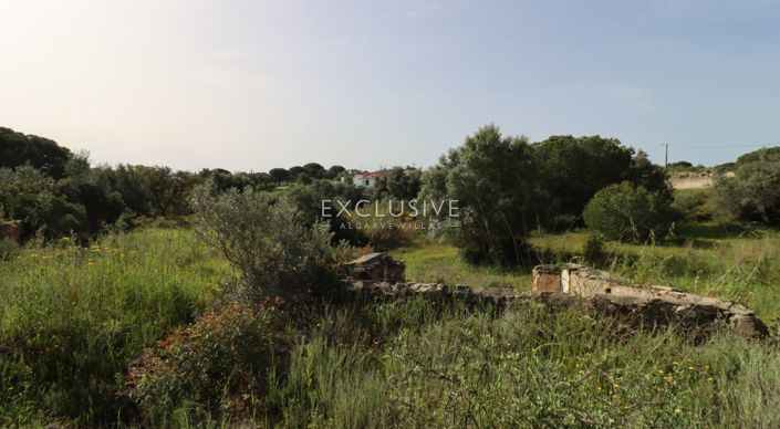 Image No.37-Plot for sale