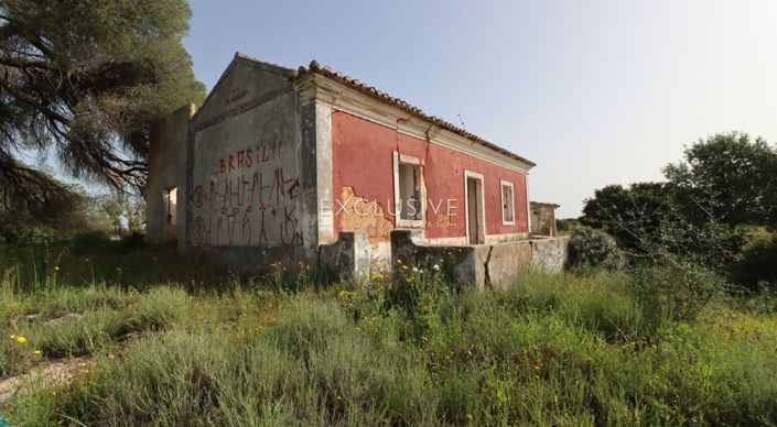 Image No.38-Plot for sale