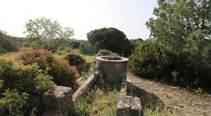 Image No.41-Plot for sale