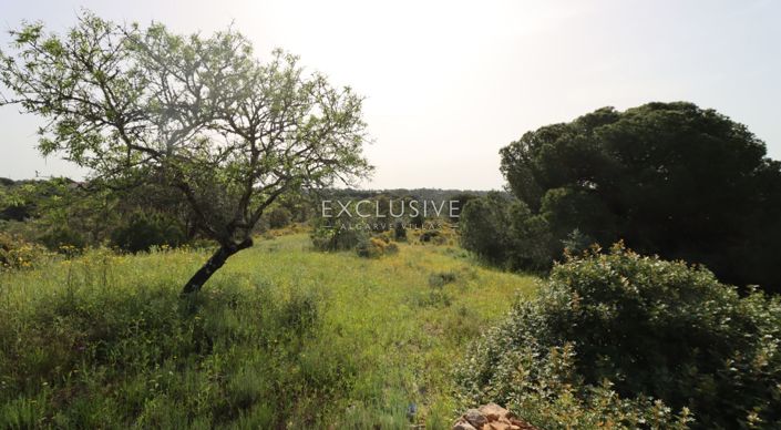 Image No.42-Plot for sale