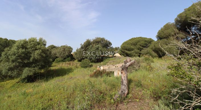 Image No.44-Plot for sale