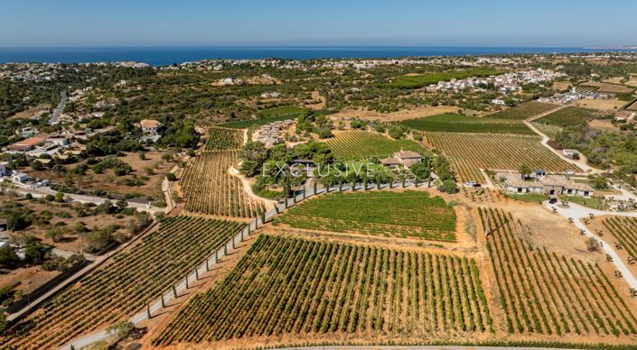 Image No.4-3 Bed Villa for sale