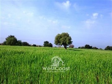 1 - Tremithousa, Plot