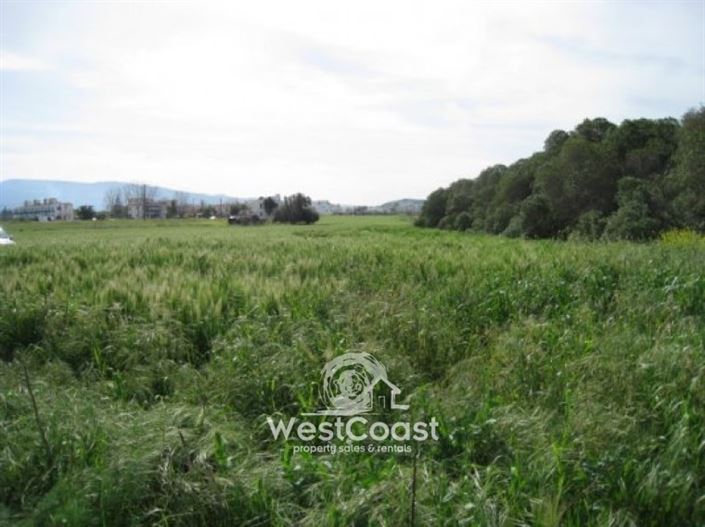 Image No.5-Terrain à vendre à Polis