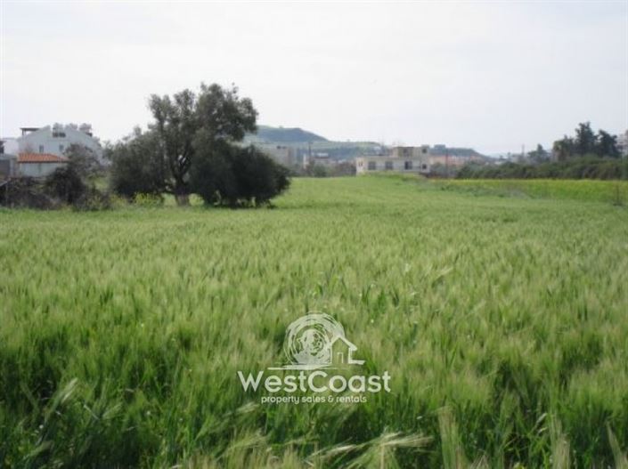 Image No.9-Terrain à vendre à Polis