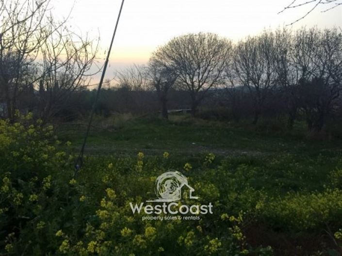 Image No.4-Terrain à vendre à Tala