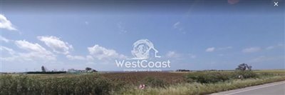 142508-residential-land-for-sale-in-timifull