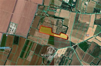 147809-agricultural-land-for-sale-in-timifull