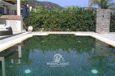 164406-detached-villa-for-sale-in-neo-choriof