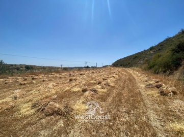 185461-agricultural-land-for-sale-in-tsadaful