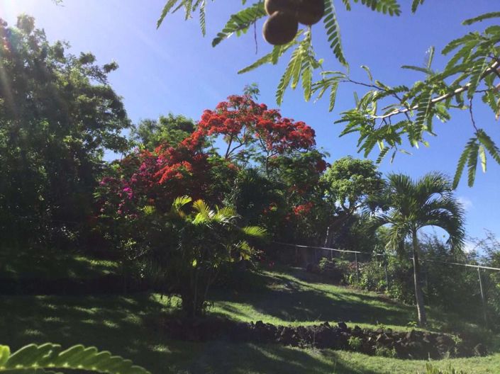 Image No.15-3 Bed Villa for sale