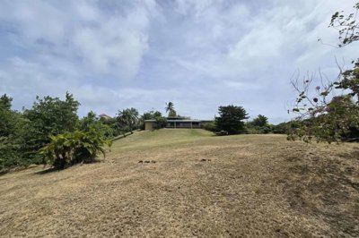 20250404134409-scaled