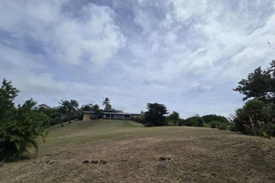 20250404134444-scaled