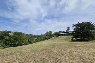 20250404134524-scaled