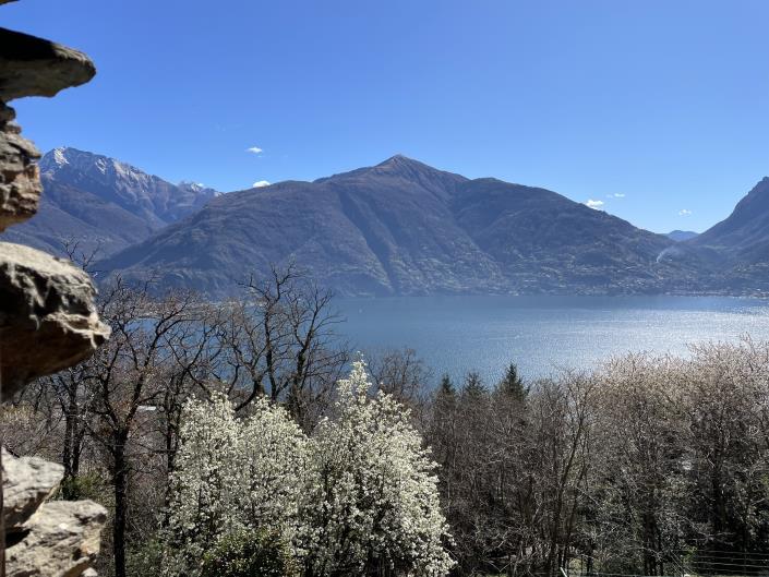 Image No.24-3 Bed House for sale