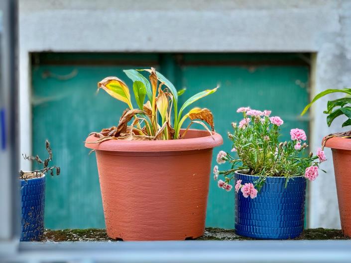 Image No.29-2 Bed Semi-Detached for sale