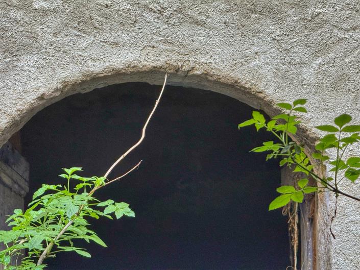 Image No.17-Maison de 9 chambres à vendre à Plesio