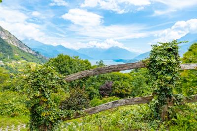 Pianello-del-Lario-IMG_3982