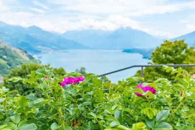 Pianello-del-Lario-IMG_3984