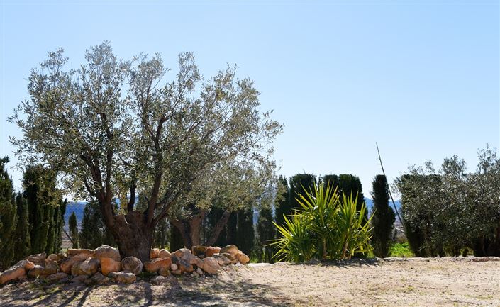 Image No.26-Maison de campagne de 4 chambres à vendre à Jumilla